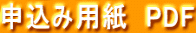 �\���ݗp���@PDF